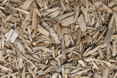biomass boilers Jedburgh